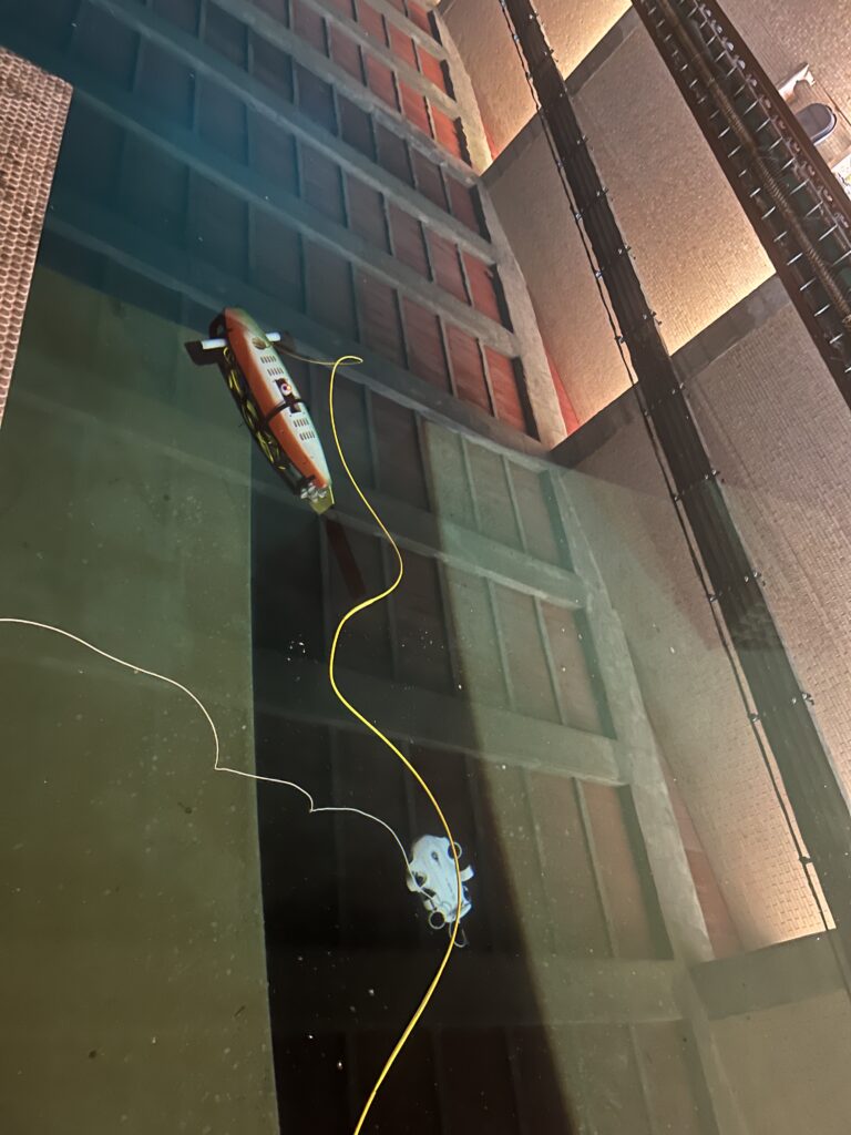Fish robot test 2