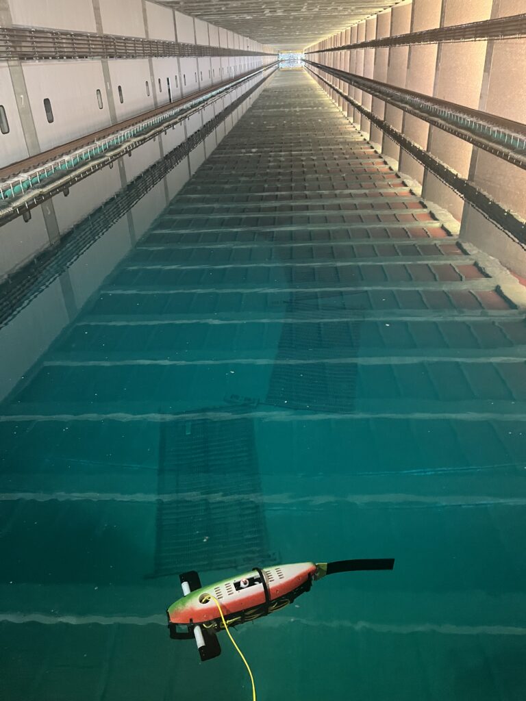 Fish robot test 1